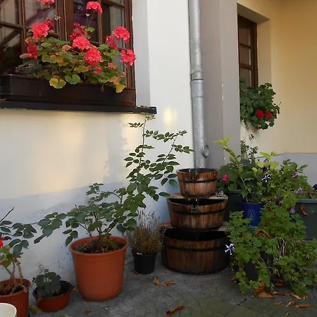 بيت ضيافة St Nicolai زيتز